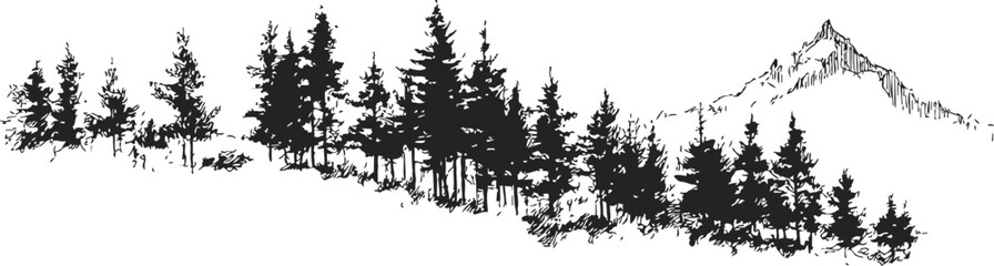 Fototapeta premium Pine tree forest silhouette sketch with mountain outline in hand drawn style. Vector illustration