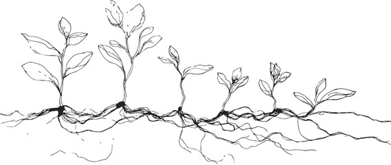 Plant roots sketch hand drawn botanical illustration with underground root system and growing seedlings. Vector illustration