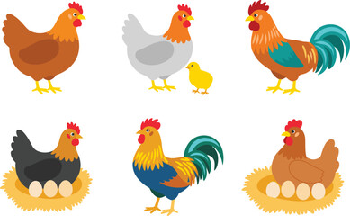 farm chicken and rooster vector illustration set, showing hens with chicks and eggs for agriculture education, animal farming graphics, children books and infographic design