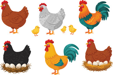 farm chicken and rooster vector illustration set, showing hens with eggs and chicks for agriculture education, animal farming graphics, children books, and infographic design