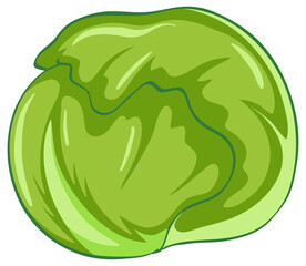 Simple cartoon iceberg lettuce head illustration