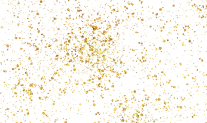 Microscopic view of cells with distinct nuclei and cytoplasm