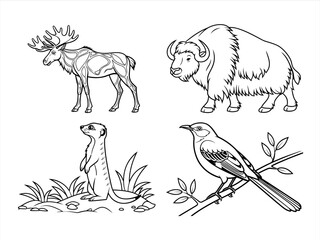 coloring page line art the animal black vector bundle