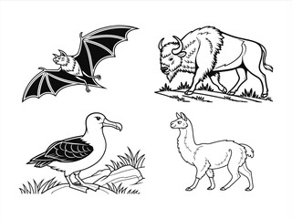 coloring page line art the animal black vector bundle