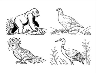 coloring page line art the animal black vector bundle