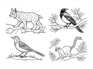 coloring page line art the animal black vector bundle