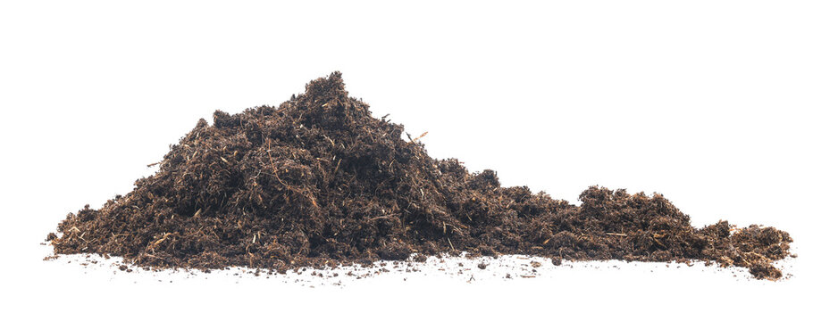 pile peat moss soil isolated on a white background. texture dirt in flowerpots for tree flower. compost dust gardening and agricultural
