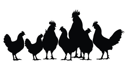 A silhouette of a rooster and several hens standing closely together © Rokiya Aktar