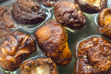 Plump Dried Shiitake Mushrooms Soaking in Water for Cooking Preparation