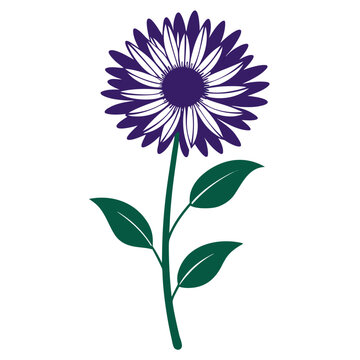 erigeron strigosus flower silhouette on white background