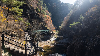 한국 청송에 있는 절곡계곡의 가을 풍경