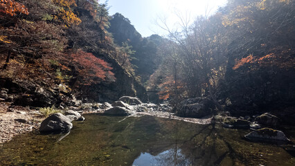 한국 청송에 있는 절곡계곡의 가을 풍경