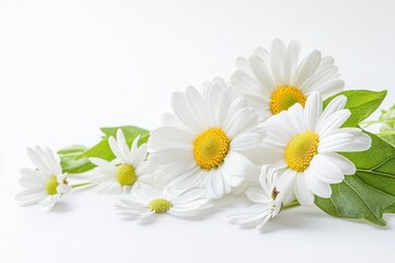 A vibrant bouquet of white daisies with yellow centers, arranged in a loose, natural style. © HO