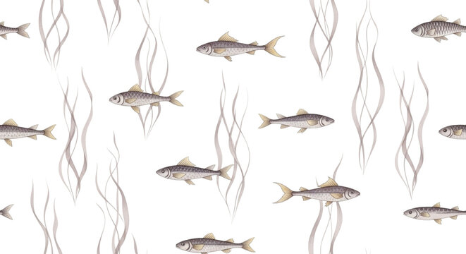 Seamless watercolor pattern featuring realistic illustration of small freshwater fish swimming among delicate, flowing aquatic plant silhouettes isolated on transparent background