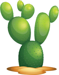cactus illustration
