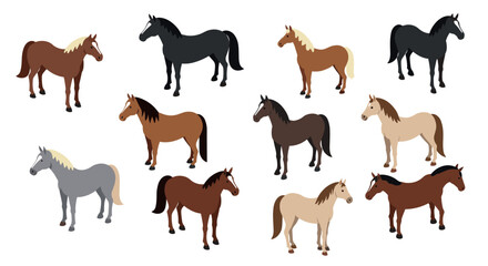 Fototapeta premium Diverse horse breeds in isometric art style on white background