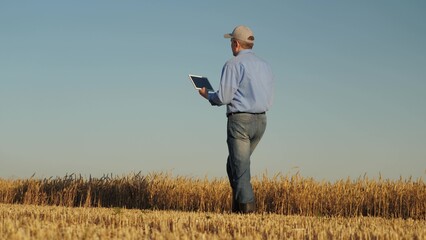 man wearing blue shirt jeans walking through field. He holding tablet hand, sustainable farming, Enhancing wheat yield with data-driven insights, Innovative farming tablet technology, Monitoring crop