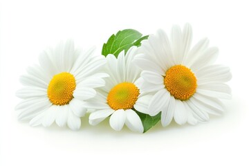 A serene landscape featuring a tranquil lake nestled amidst a lush expanse of greenery, with a solitary figure standing on the shore, gazing into the water.