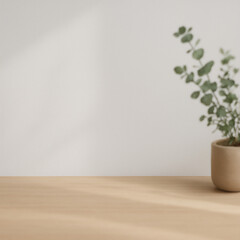 minimalist warm desk surface with soft natural light and potted plant