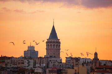 Fototapeta premium The Galata Tower and seagulls at dawn. Magnificent cityscape of Istanbul in the morning.