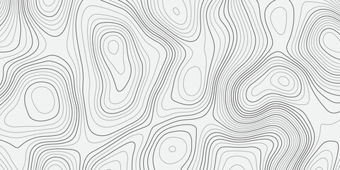 Fototapeta premium Abstract topographic contour pattern with smooth flowing lines on a clean light background. Modern minimal design texture ideal for wallpapers, branding, packaging, and contemporary graphic projects.