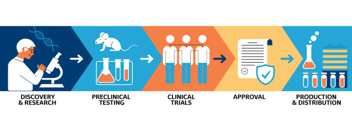 Vaccine development process in medical infografic banner