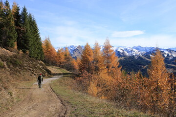 randonneur en automne sur les crêtes du Mont Chéry aux Gets dans le Chablais en Haute Savoie,...
