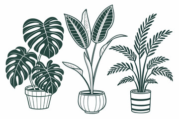 set-with-monstera-sansevieria-banana-palm-ficus-an