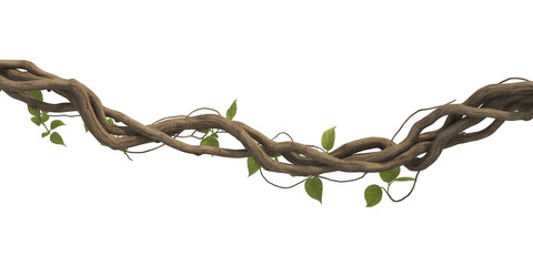 Obraz premium Tangled brown woody vines with green leaves isolated on a transparent background