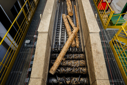 Wood logs being transported on a heavy-duty industrial conveyor inside a timber or pulp processing facility. The machinery moves raw wood for further processing.