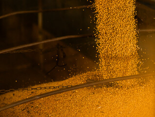 Close-up top view of harvested soybeans forming a dense uniform texture. The image represents agricultural production and food commodities.