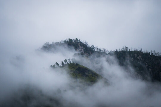 View of ethereal mist veiling rugged mountain peaks dotted with sparse trees under a somber sky, creating a scene of serene isolation, Paro, Bhutan.