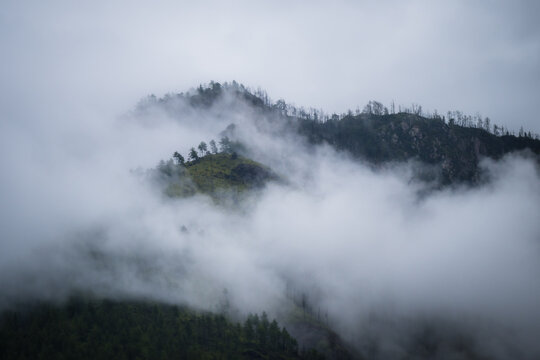 View of ethereal mountain peaks shrouded in thick, swirling mists, the sparse trees clinging to the slopes, a serene scene, Paro, Bhutan.