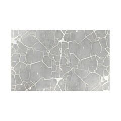 Stunning cracked plaster background texture with elegant gray tones for modern designs and creative projects, lending a sophisticated and unique touch to artistic endeavors
