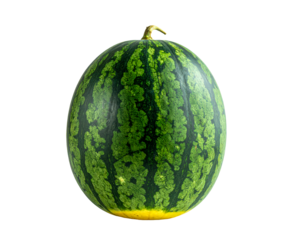 Fresh watermelon fruit summer fruit healthy food watermelon isolated diet on transparent background