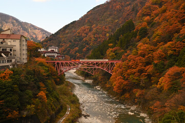 色づく山に囲まれた鉄橋を行くトロッコ電車