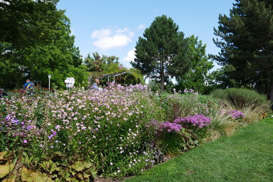 Blumenbeet im egapark Erfurter Gartenbauausstellung