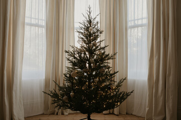 Warm Minimalist Christmas Tree in Natural Light Living Room
