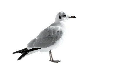 Obraz premium Blurred City Lights An Abstract Evening Landscape with Bokeh Effects