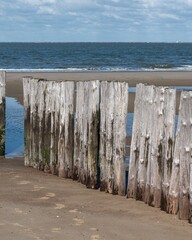 Fototapeta premium Wooden breakwaters on the North Sea