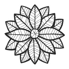Intricate line drawing of a stylized flower or mandala pattern in black on white. isolated on white background, Vector, illustration