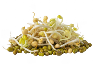 Pile of green mung beans and sprouts isolated on a transparent background