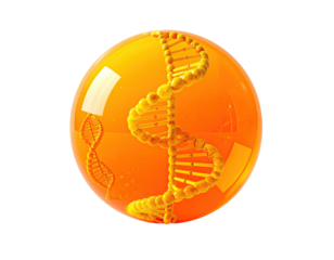 Amber sphere encasing a DNA helix, illuminated, against black
