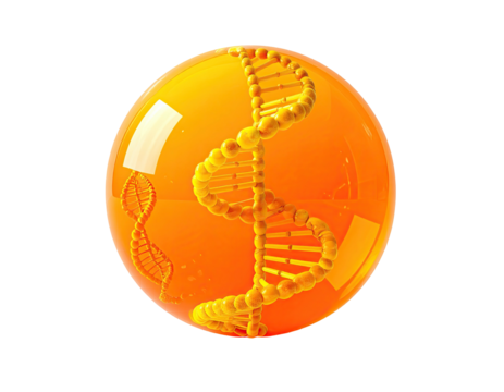 Amber sphere encasing a DNA helix, illuminated, against black