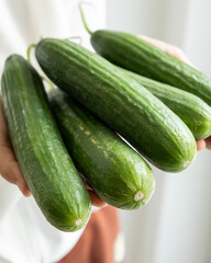girl holding fresh cucumbers on light background healthy eating concept
