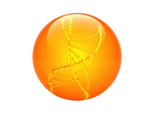 DNA helix captured in a glossy, amber-colored sphere