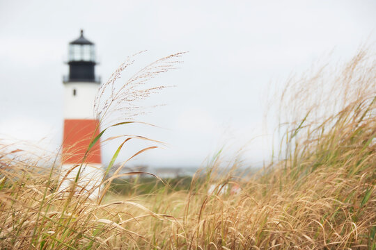 Lighthouse at Sankaty Head with beach grass in foreground