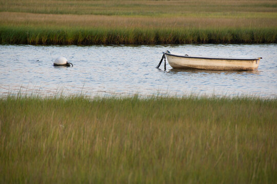 Dinghy anchored on calm water with reeds in foreground