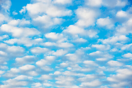 White Altocumulus clouds in blue sky