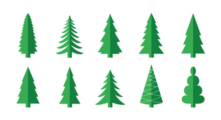 Fototapeta premium Set of Stylized Pine Tree Icons with Decorative Variations